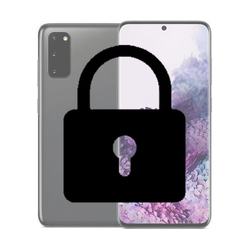 [SCAF] SecureLock Annual Fee